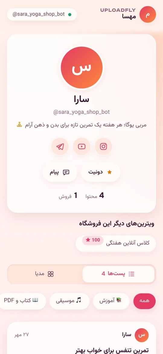 صفحهی لینک بیو در تلگرام با معرفی سازنده، آیکون شبکههای اجتماعی و پستها