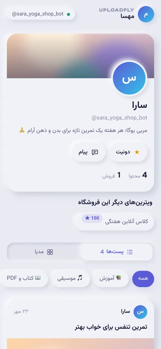 صفحهی فروشگاه یک سازنده از دید خریدار در تلگرام